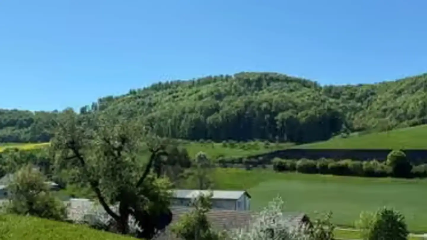 Einfamilienhaus kaufen - Speichmattweg 11, 4422 Arisdorf