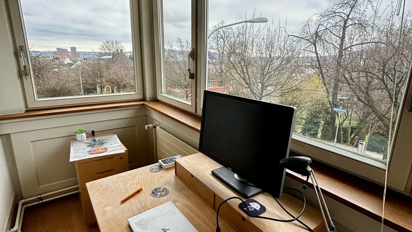 Stanza singola in affitto - Wiedingstrasse, 8055 Zürich - Foto 4