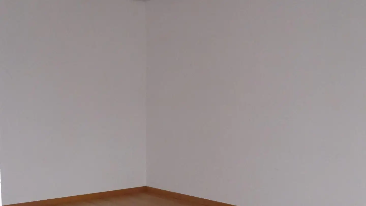 Appartement à louer - Huggerwaldstrasse, 4245 Kleinlützel - Photo 2