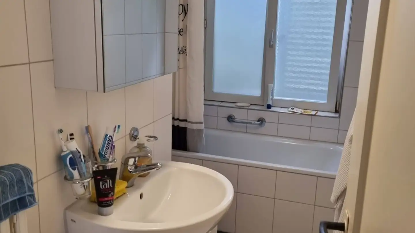 Wohnung mieten - Luegislandstrasse 357, 8051 Zürich - Foto 2