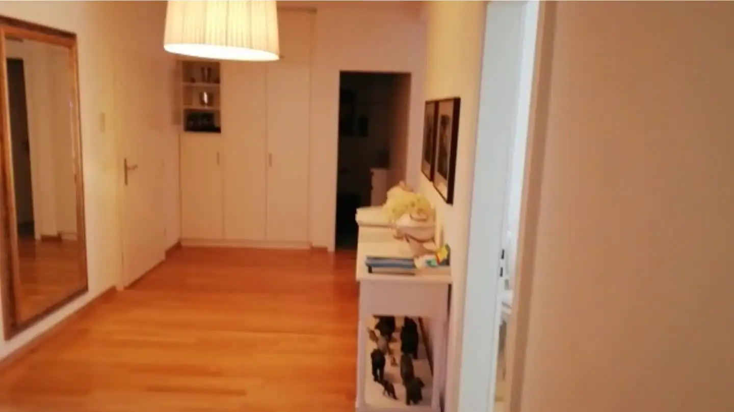 Appartamento in affitto - Neuackerstrasse, 8125 Zollikerberg - Foto 4