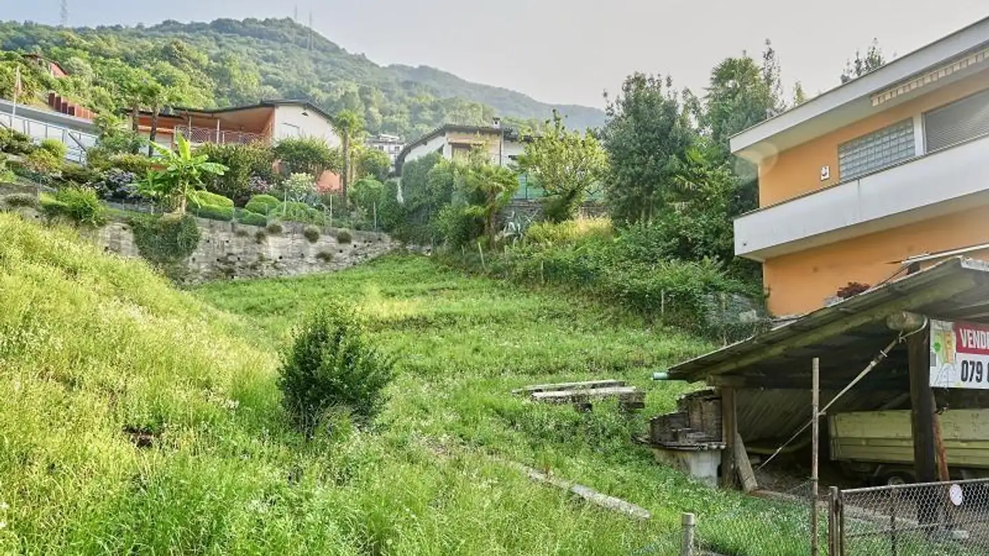 Constructible plot for sale - 6596 Gordola - Photo 3