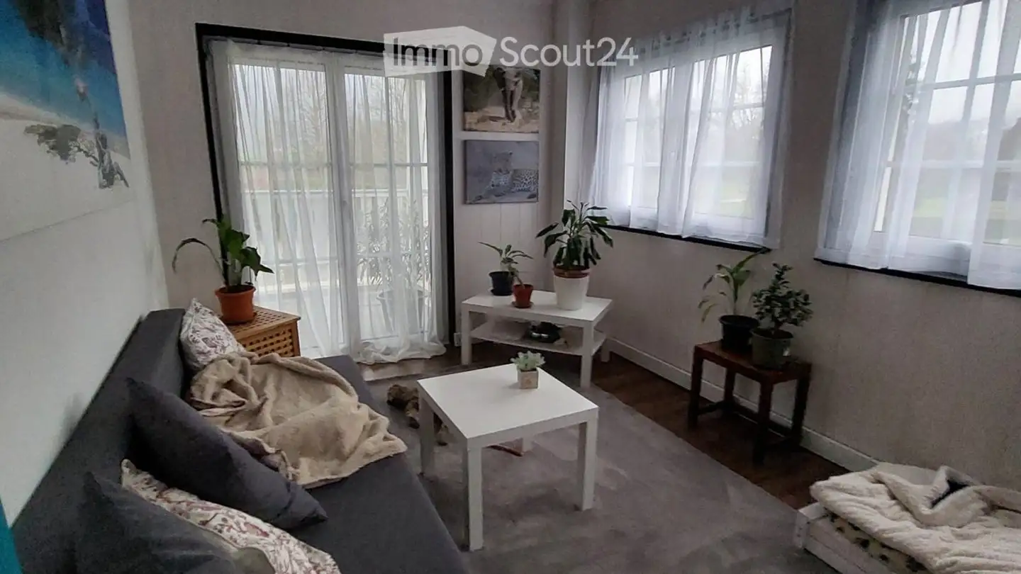 Apartment for rent - 4714 Aedermannsdorf - Photo 2