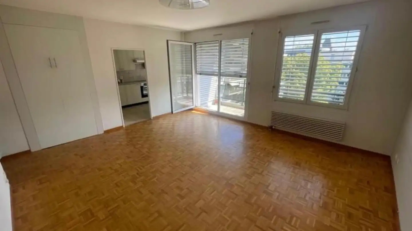 Appartamento in affitto - Rue Daubin 20, 1203 Genève