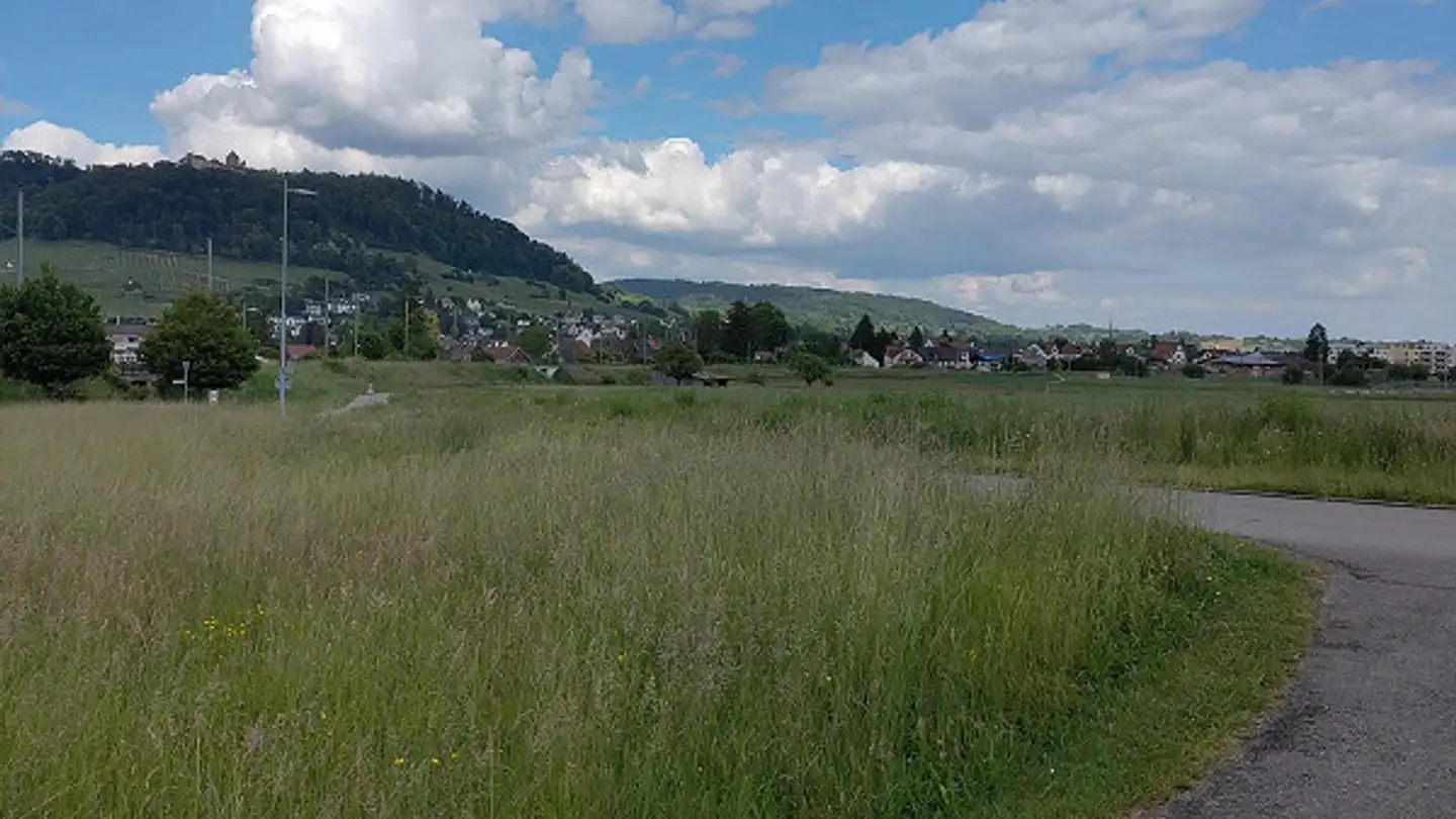 Casa bifamiliare in affitto - Käsereistrasse 20, 8259 Wagenhausen - Photo 3