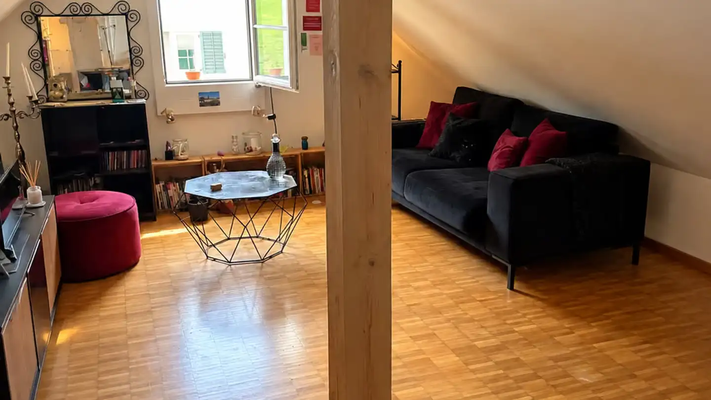 Attico in affitto - Albisriederstrasse 401, 8047 Zürich