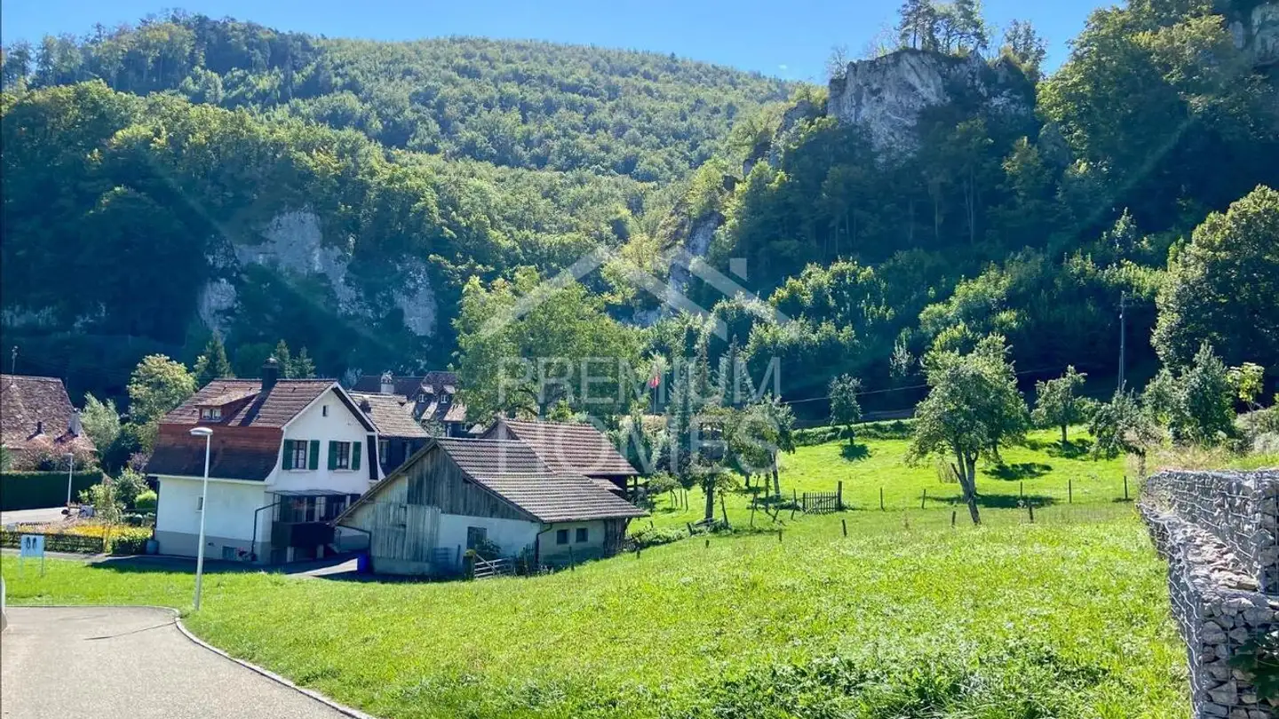 Terrain constructible à vendre - 4117 Burg im Leimental