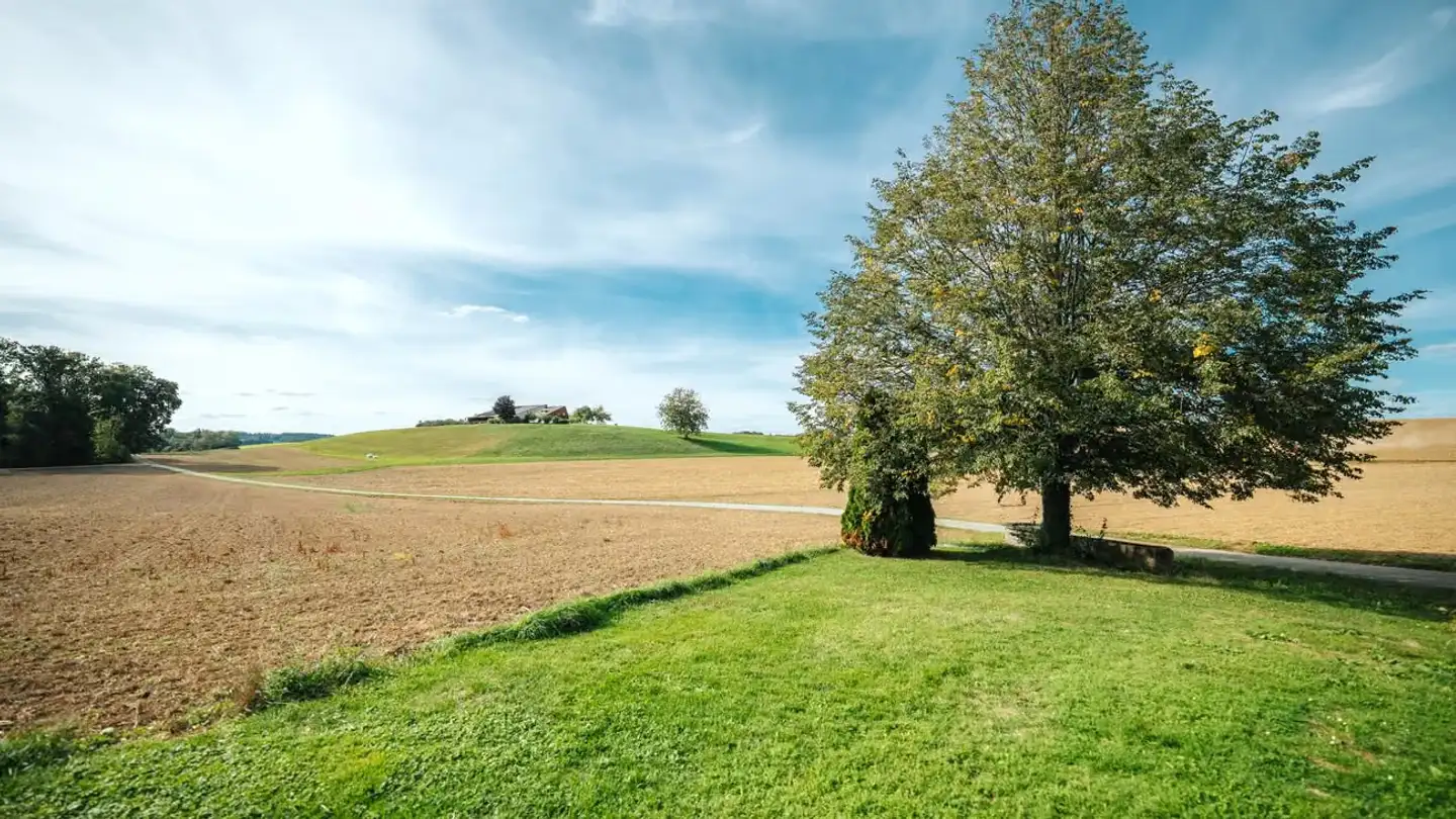 Farm for sale - Bethelhausen 7, 8546 Islikon - Photo 2
