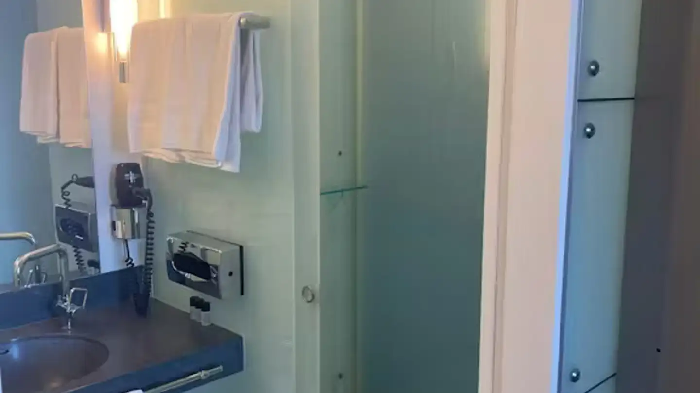 Appartamento in affitto - Schaffhauserstrasse, 8052 Zürich - Foto 3
