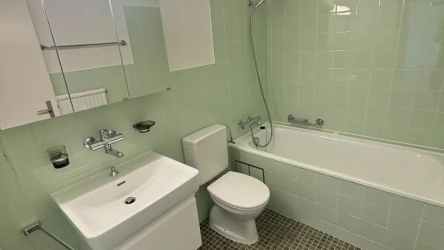 Wohnung mieten - Schafmattweg 33, 4102 Binningen - Foto 3