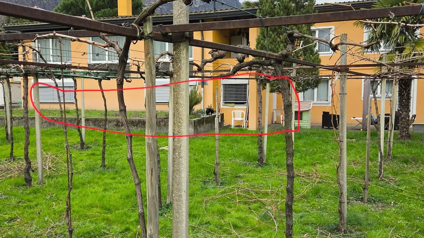 Wohnung mieten - 6703 Osogna - Foto 4