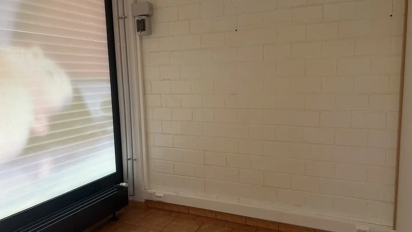 Commerciale in affitto - Junkholzweg 1, 4303 Kaiseraugst - Foto 4