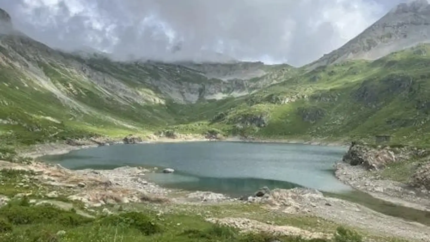 Single room for rent - 1926 Fully