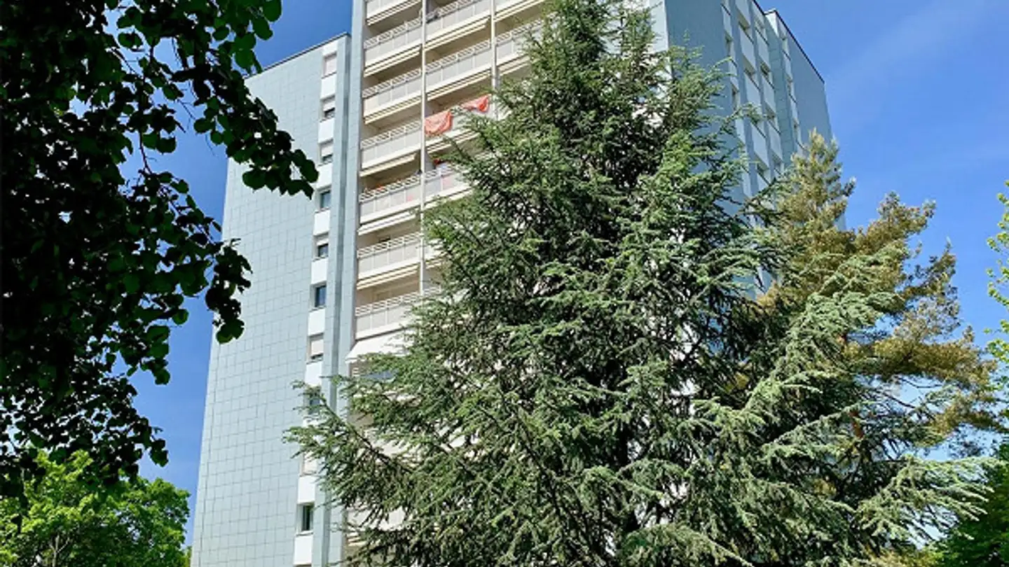 Appartement à louer - Luegislandstrasse 56, 8051 Zürich