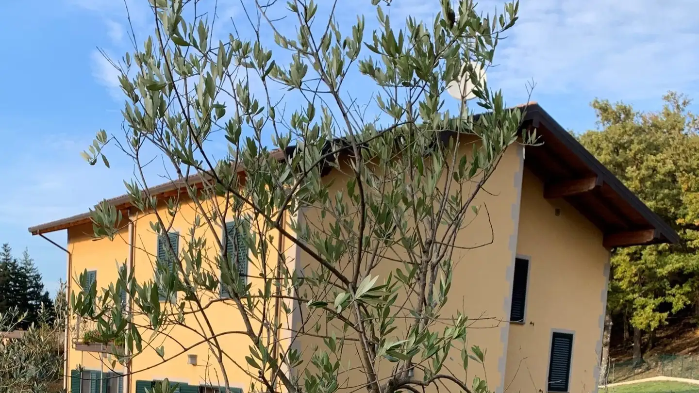Casa singola in vendita - 6600 Muralto