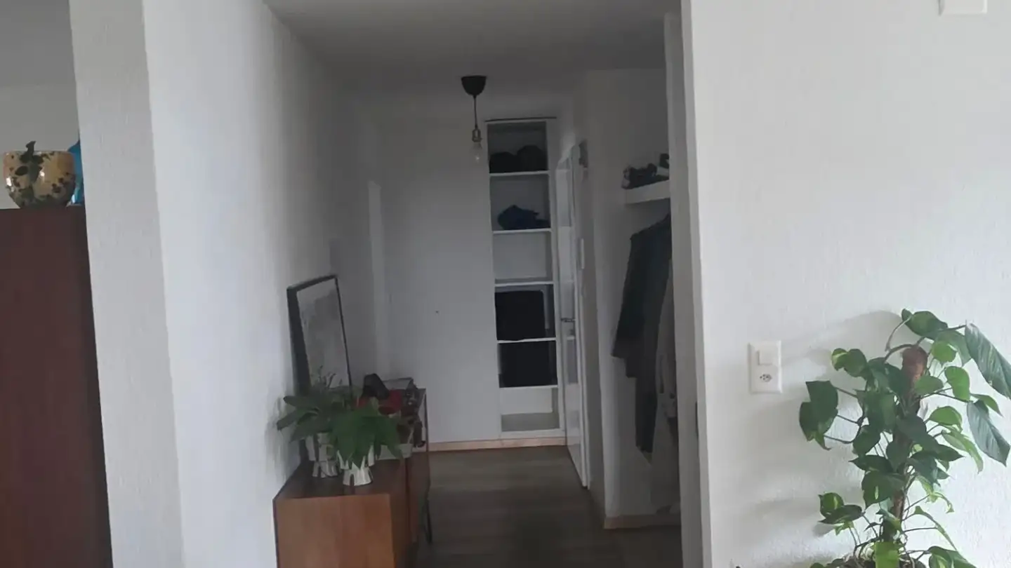 Appartement à louer - 8132 Hinteregg