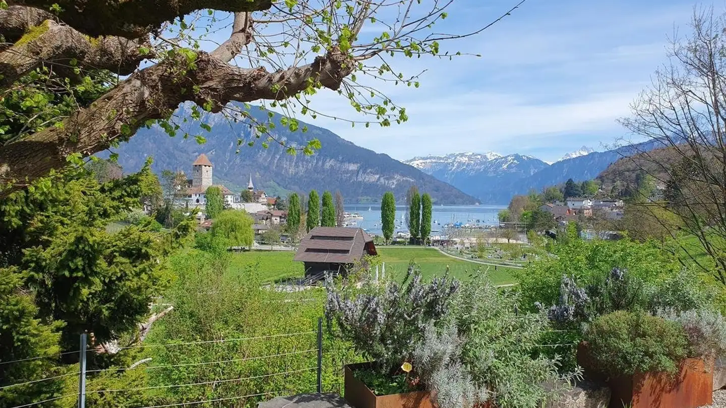 Wohnung mieten - Mühlegässli 18, 3700 Spiez