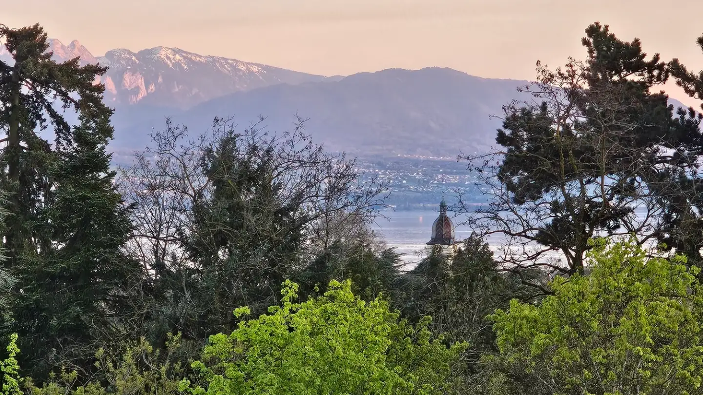 Appartamento in affitto - 1110 Morges