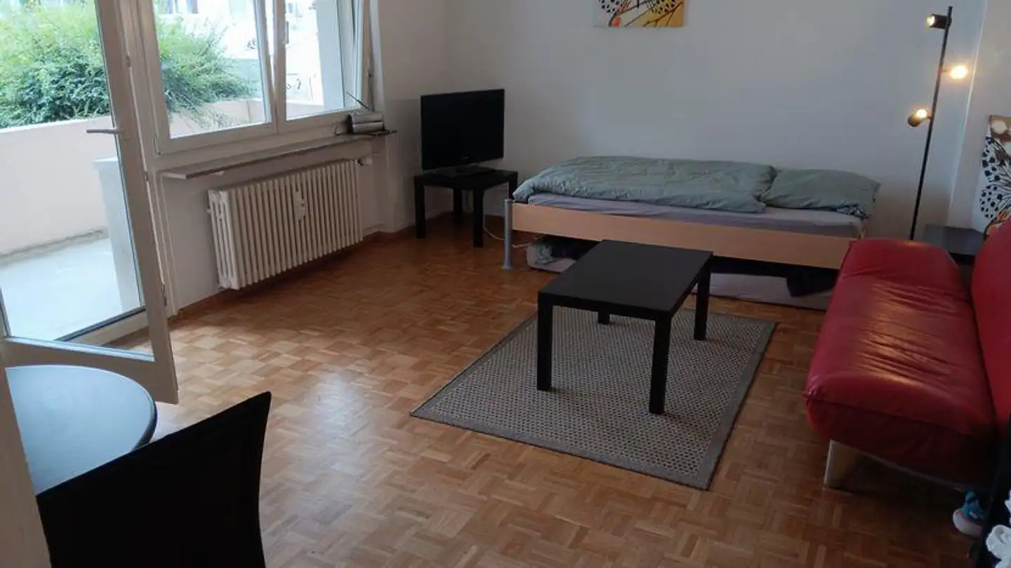 Furnished apartment for rent - Baselmattweg 36, 4123 Allschwil - Photo 2