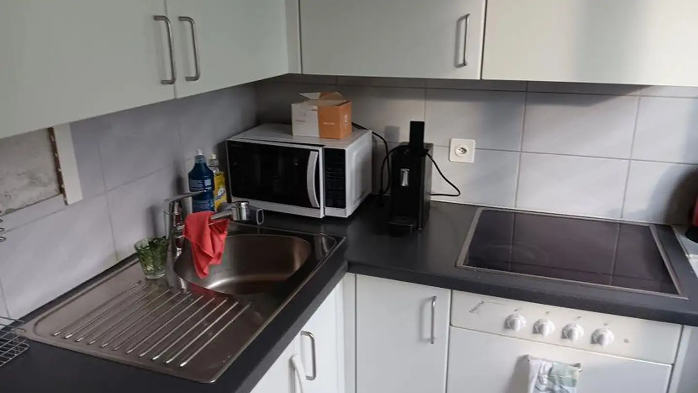 Furnished apartment for rent - Baselmattweg 36, 4123 Allschwil - Photo 3
