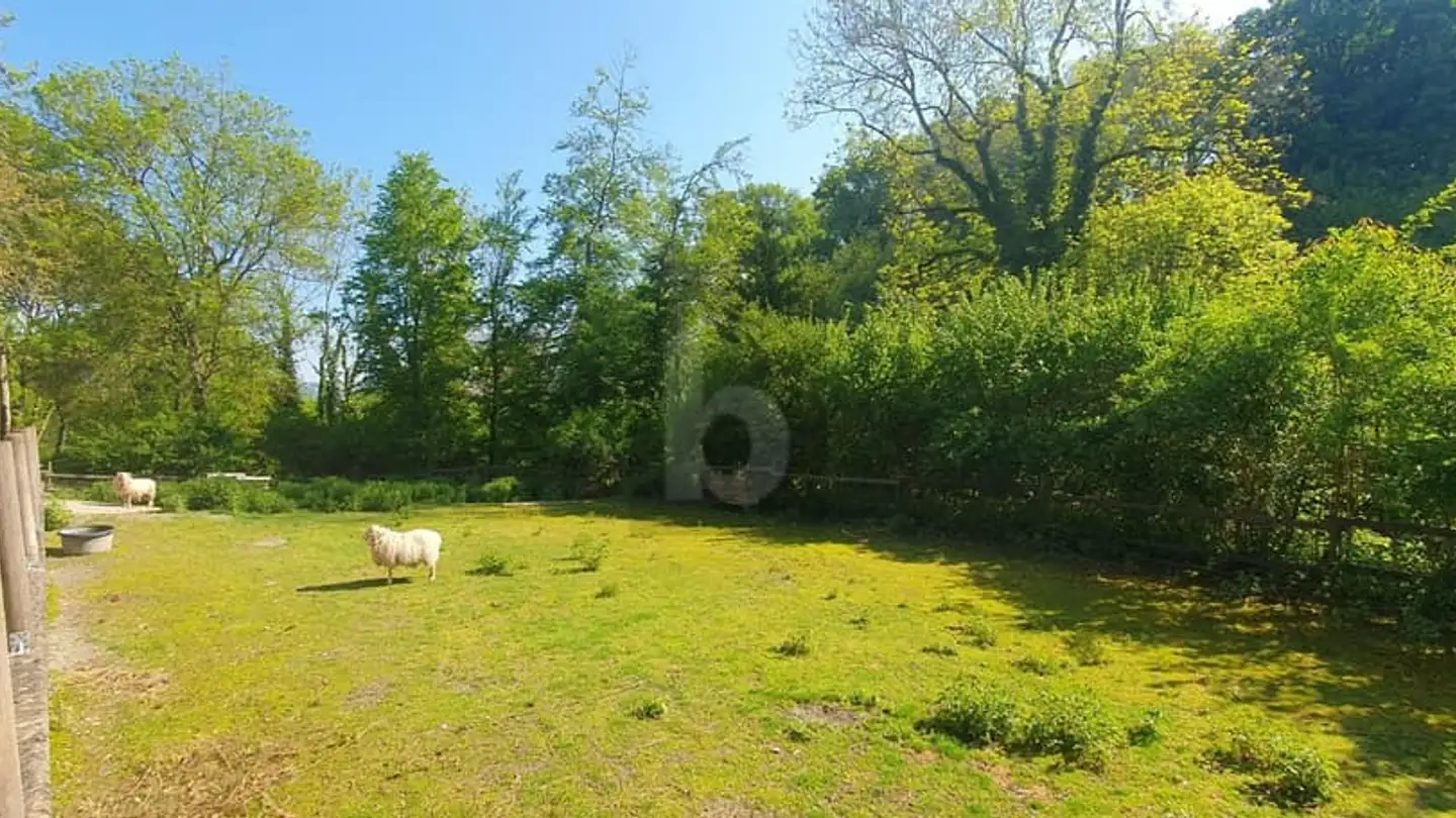 Maison individuelle à vendre - 1521 Curtilles - Photo 3