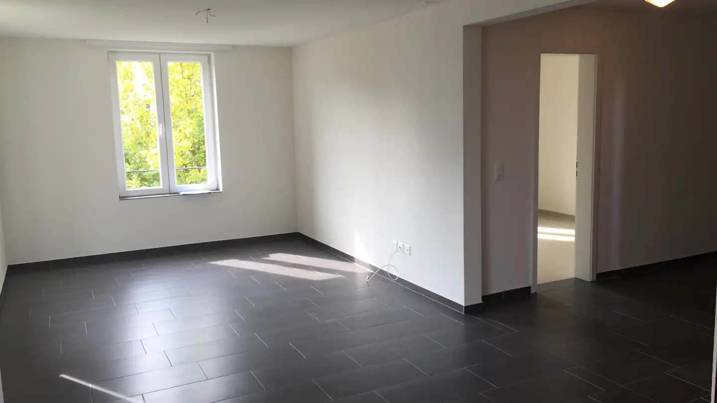 Appartamento in affitto - Thurfeldstrasse 59, 9215 Schönenberg an der Thur - Foto 4