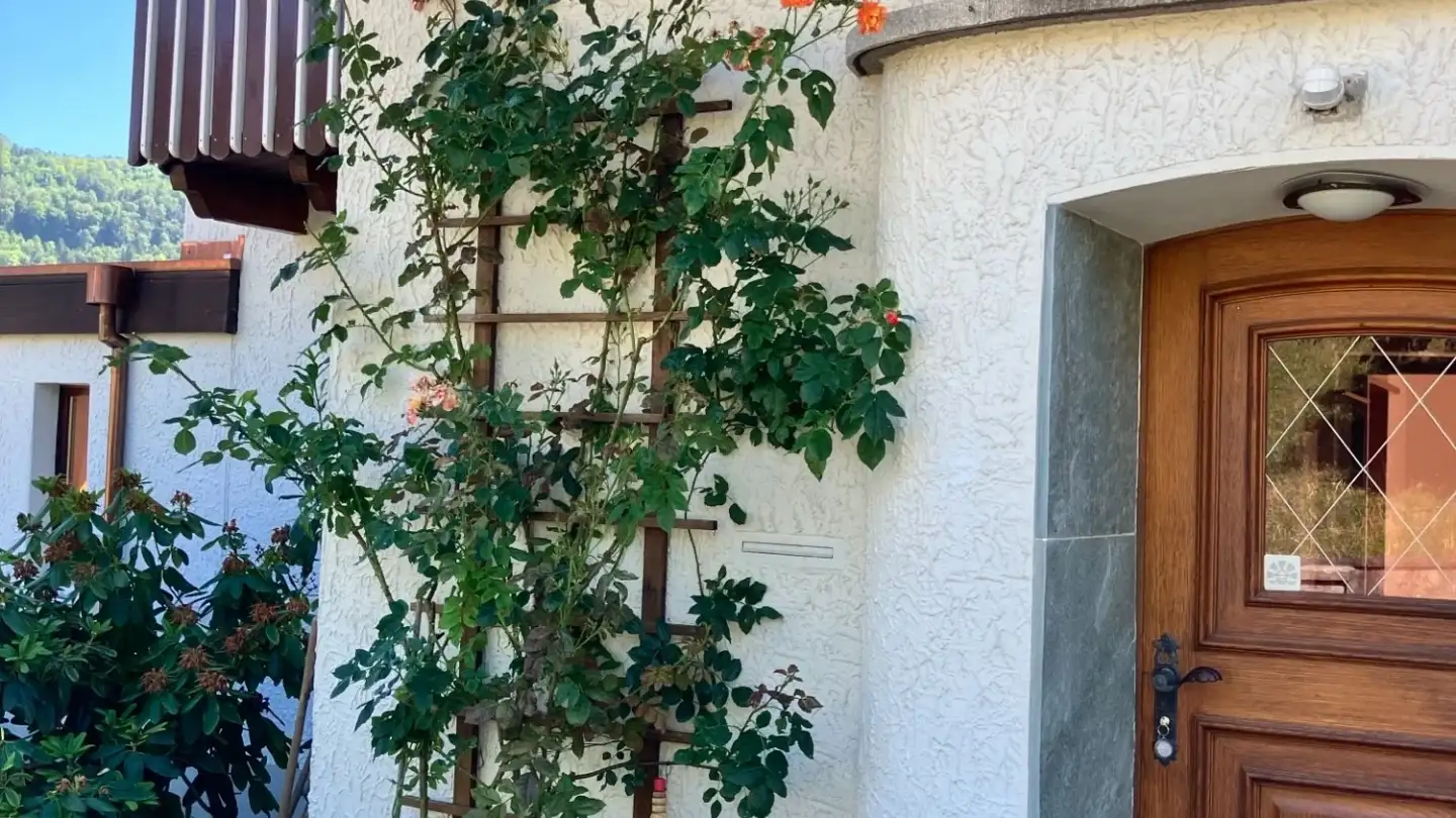 Single house for rent - Schlossweg, 4448 Läufelfingen - Photo 2