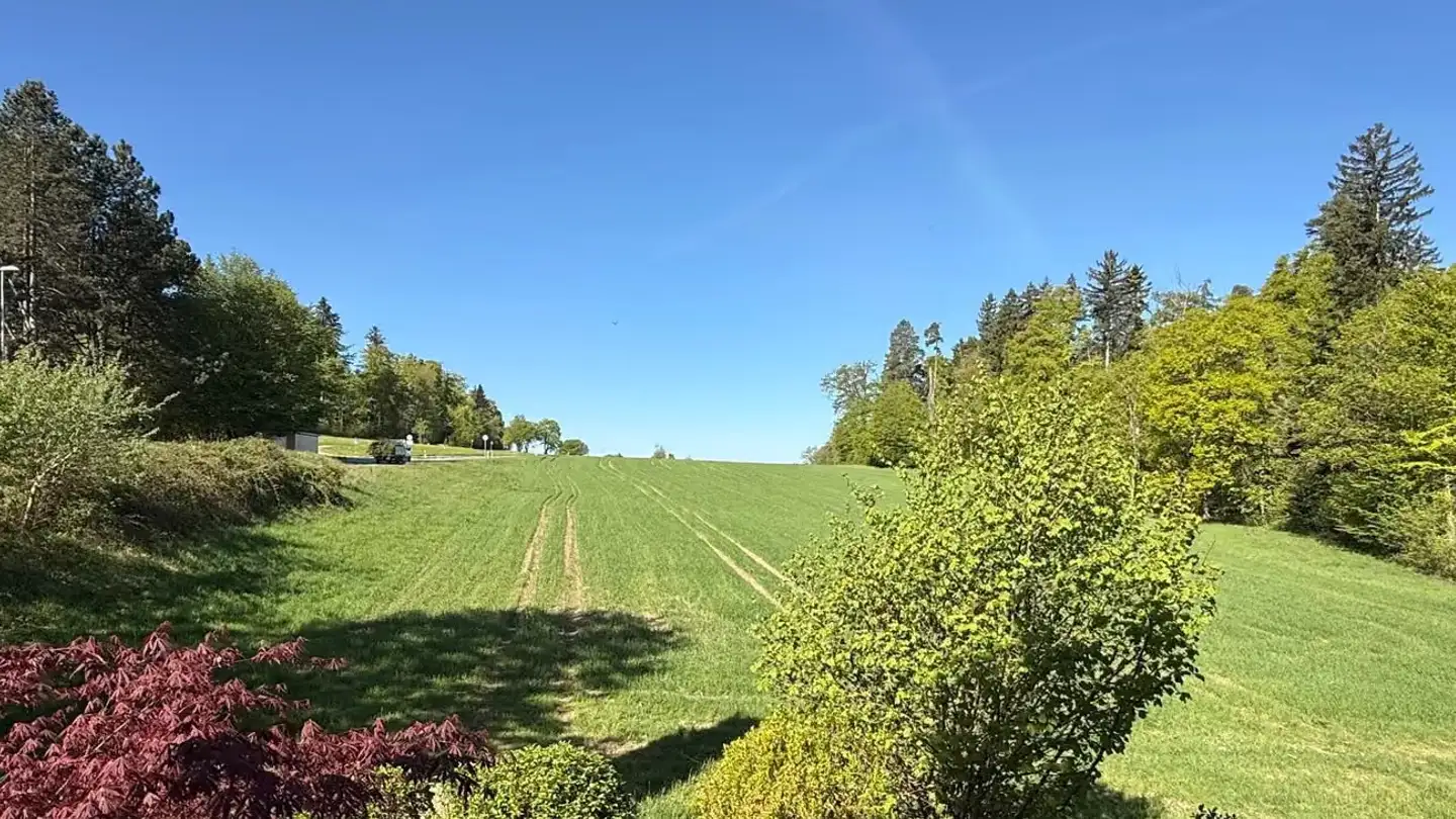 Appartement à vendre - Rütistrasse 18, 8118 Pfaffhausen