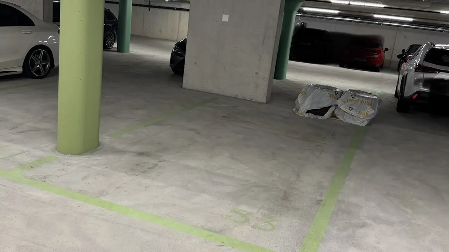 Place de parking extérieure à louer - 8157 Dielsdorf - Photo 2