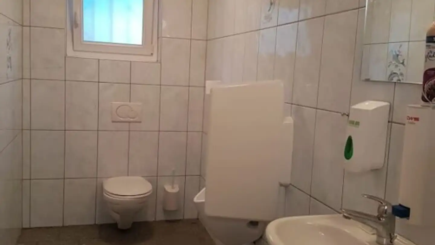 Industrieimmobilie mieten - La Pussaz 13, 1510 Moudon - Foto 2