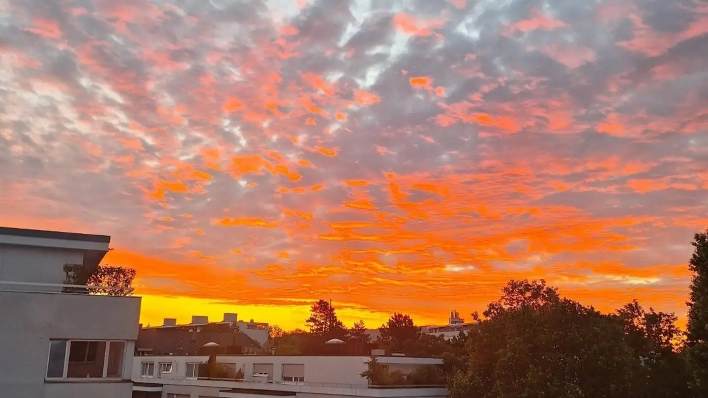 Apartment for rent - Hardstrasse 126, 4052 Basel - Photo 2