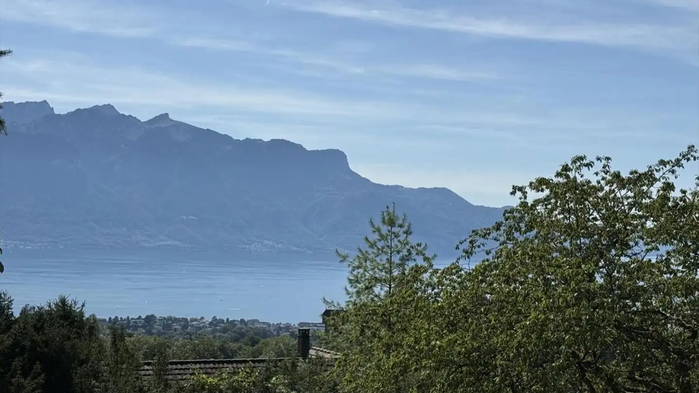 Constructible plot for sale - Sentier des Tollettes, 1807 Blonay