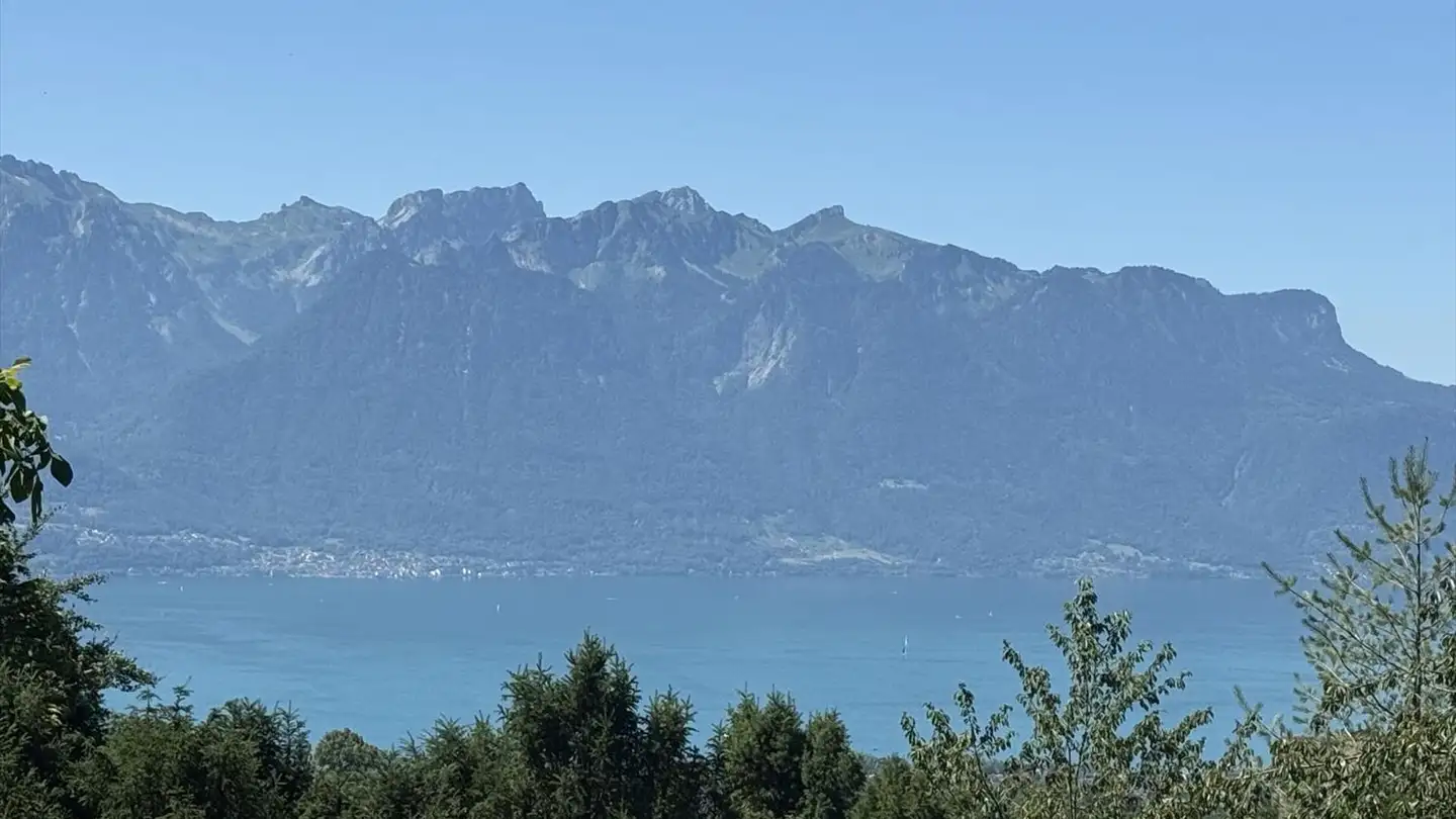 Constructible plot for sale - Sentier des Tollettes, 1807 Blonay - Photo 3