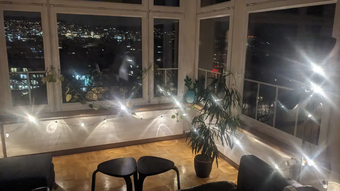 Appartamento in affitto - Wiedingstrasse 28, 8055 Zürich
