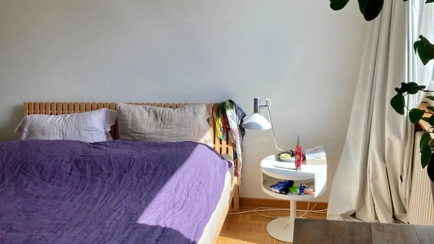 Wohnung mieten - Sternmattstrasse, 6005 Luzern - Foto 3