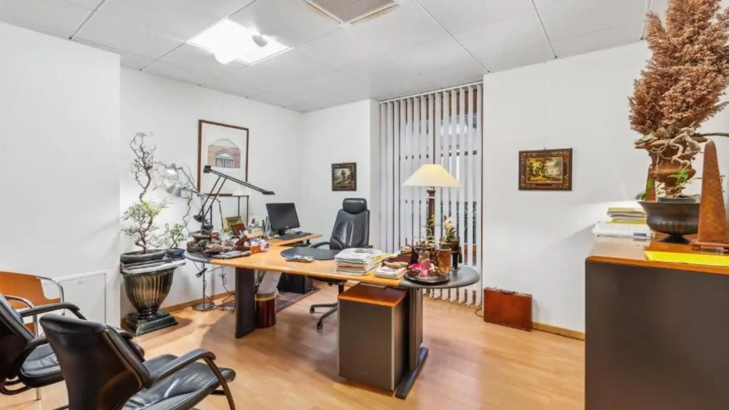 Commercial à vendre - 1227 Carouge GE - Photo 4