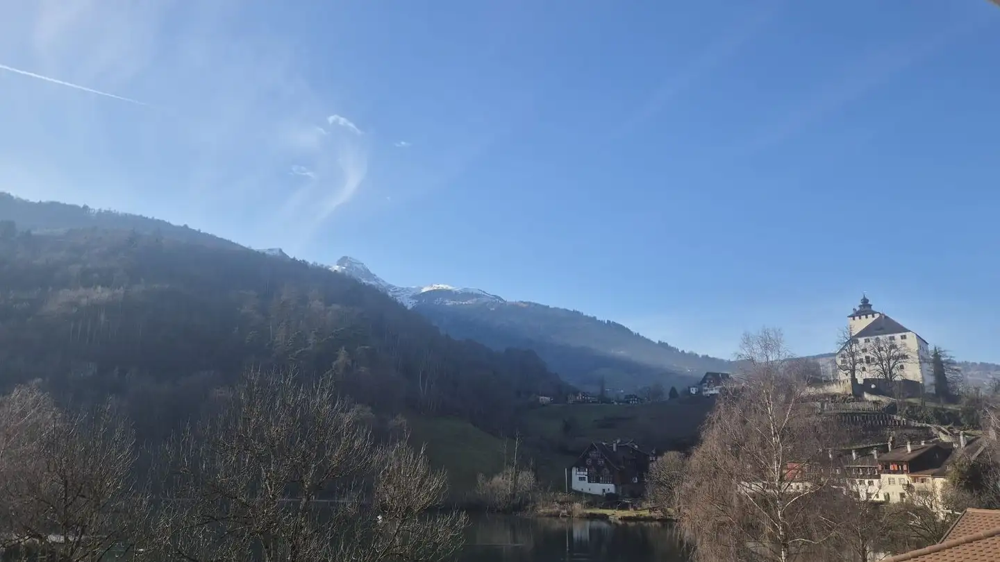 Apartment for sale - St. Gallerstrasse 38, 9470 Buchs SG - Photo 3