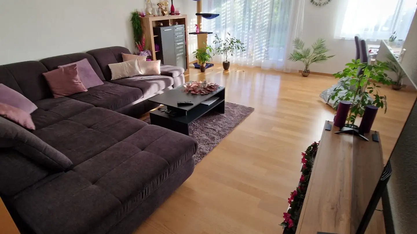 Wohnung mieten - 8442 Hettlingen