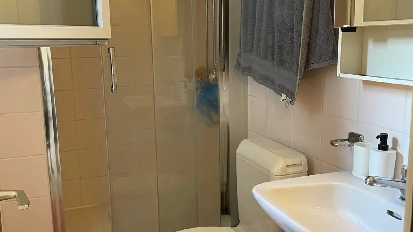 Appartamento in affitto - 6572 Quartino - Foto 2