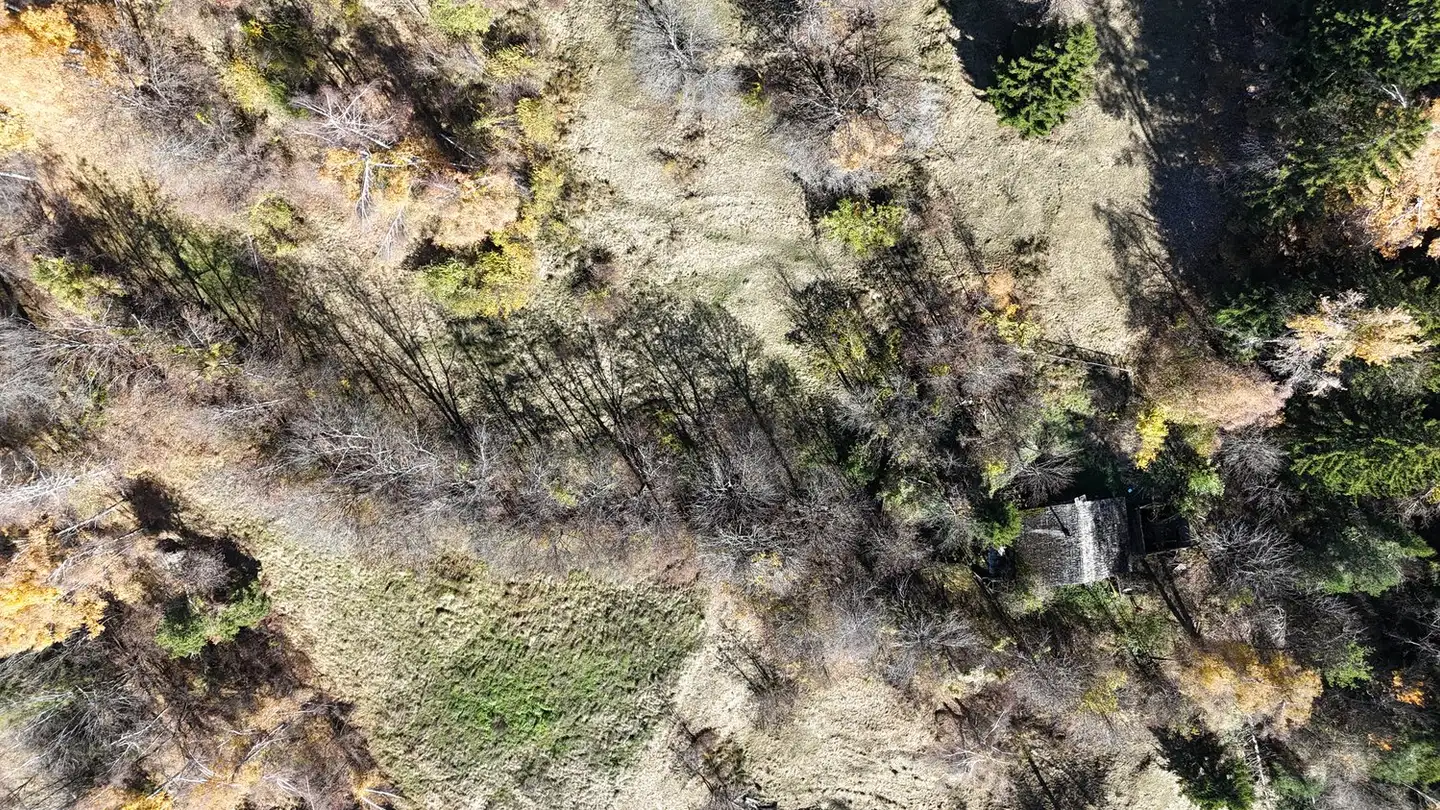 Commercial building plot for sale - 3955 Albinen - Photo 3