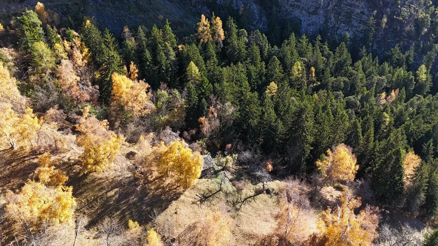 Commercial building plot for sale - 3955 Albinen - Photo 4