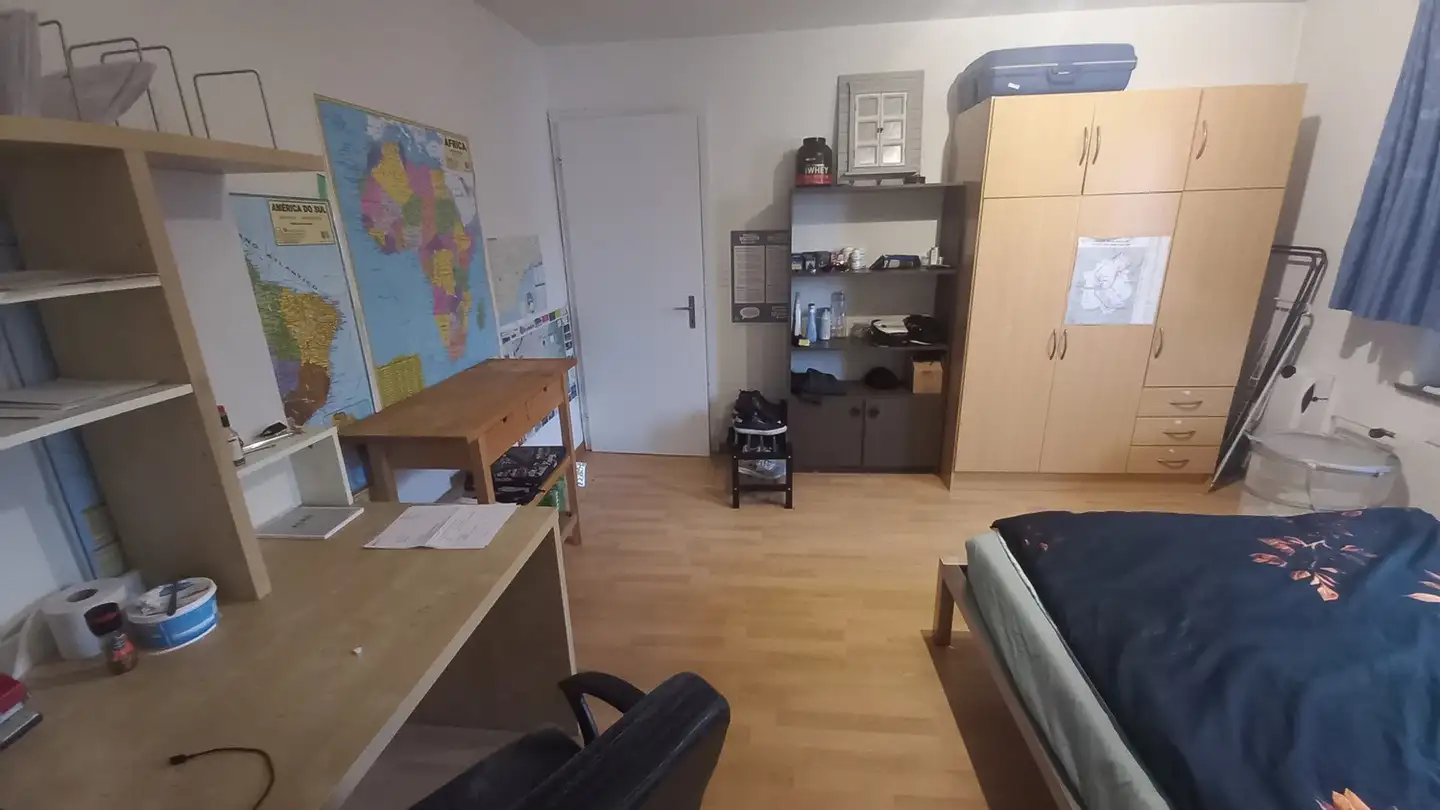 Single room for rent - Luegislandstrasse, 8051 Zürich - Photo 3