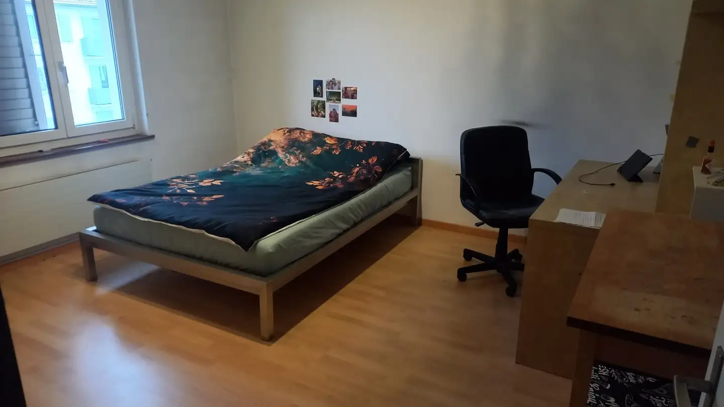 Single room for rent - Luegislandstrasse, 8051 Zürich - Photo 4