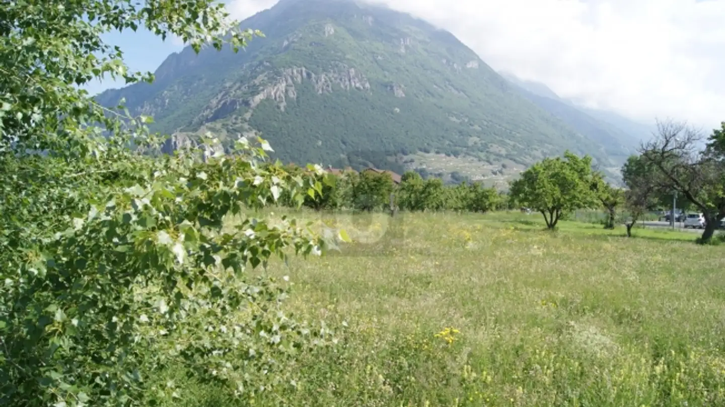 Terrain commercial à vendre - 1920 Martigny - Photo 3