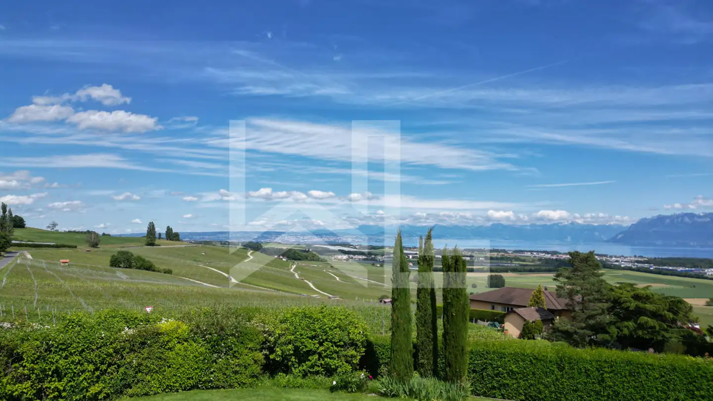 Single house for sale - Chemin Des Cassivettes, 1173 Féchy