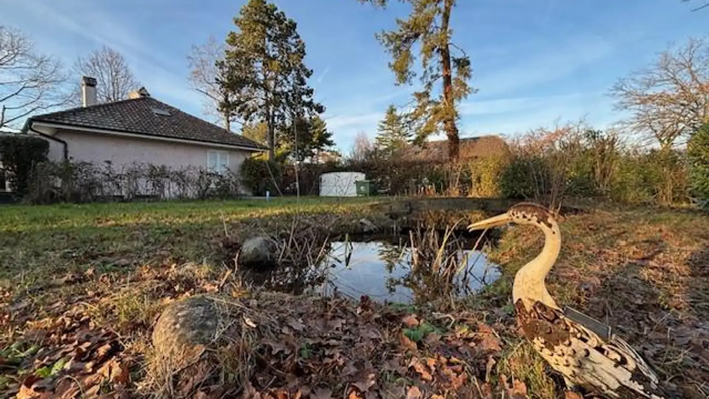 Casa singola in affitto - 1245 Collonge-Bellerive - Foto 2