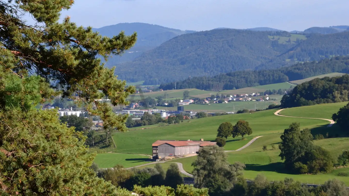 Appartamento in affitto - Chemin Des Ecureuils 13, 2802 Develier