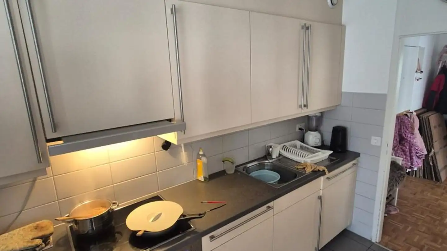 Appartamento in affitto - Rue Des Eaux-Vives, 1207 Genève