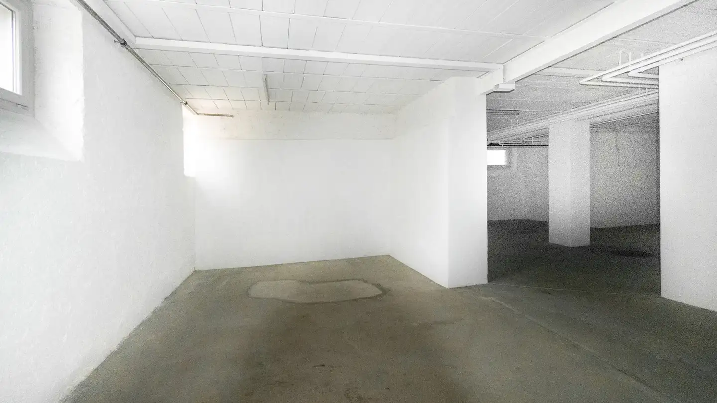 Espace de stockage à louer - Via Pietro Capelli 10, 6900 Lugano - Photo 3