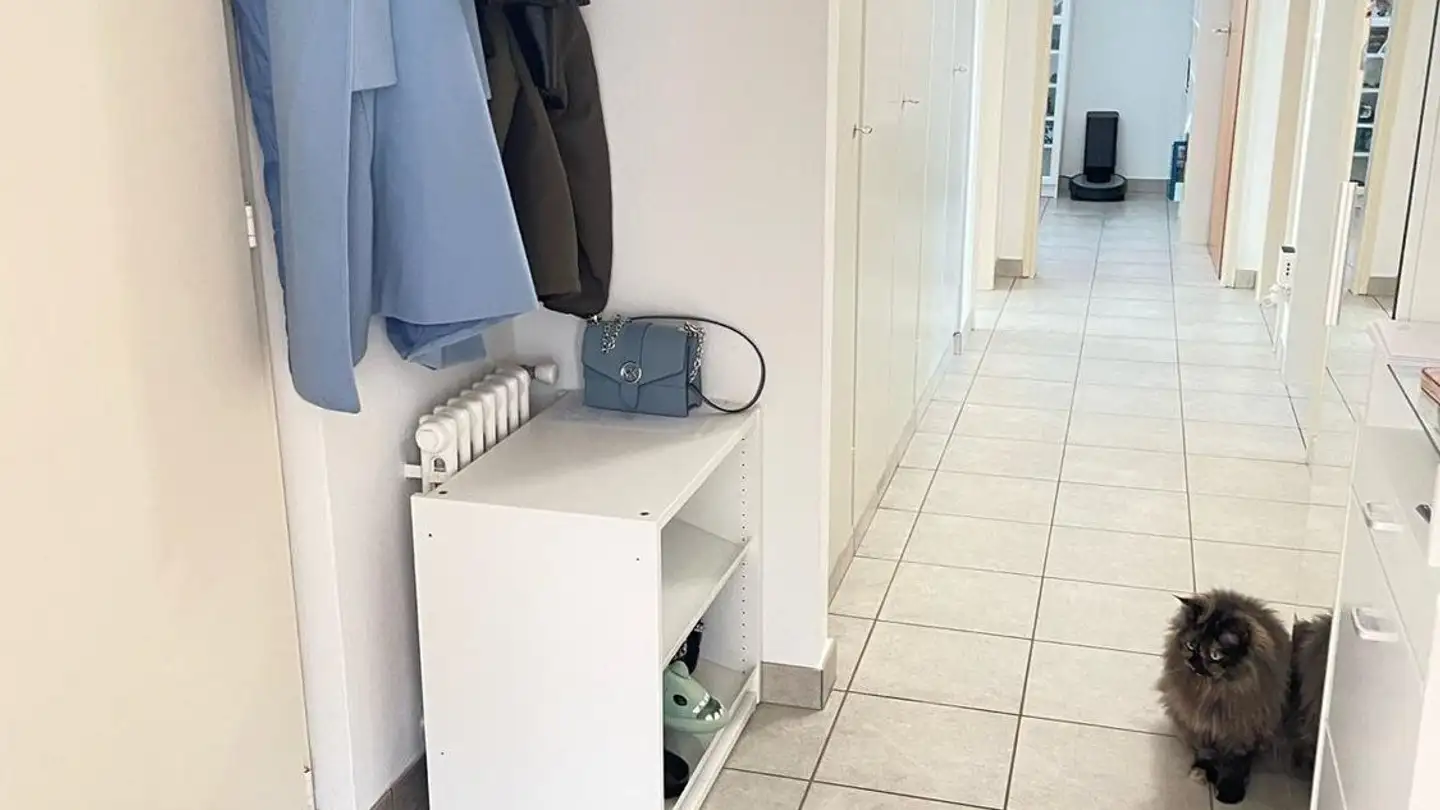 Apartment for rent - 6805 Mezzovico - Photo 4